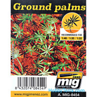 Plants. Ground palms