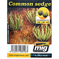 Plants. Common sedge