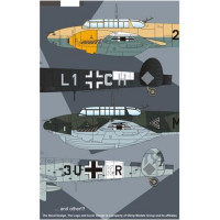 Authentic Decal  4840 WWII Luftwaffe Bf.110D