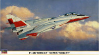 F-14B Super Tomcat
