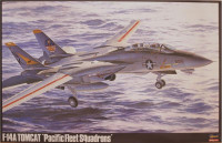 F-14A TOMCAT (PACIFIC F.S.)