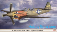 P-40N Warhawk 