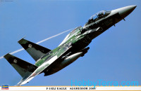 F-15DJ Eagle 