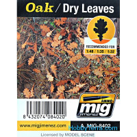 Leaves. Oak - Dry leaves