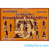 Jerusalem defenders. Six Days War