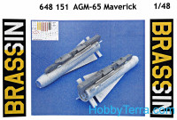 Brassin 1/48 AGM-65 Maverick