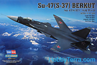 SU-47 (S-37) BERKUT