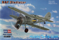 RAF Gladiator fighter