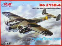 Do 215B-4 WWII German reconnaissance plane