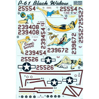 P-61 Black Widow Part 1