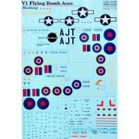 Decal 1/72 for Mustang V1 