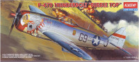 P-47D THUNDERBOLT 