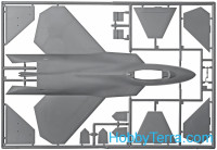 Aero Plast  226 F-22A Lighting II fighter