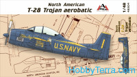 American T-28 Trojan aerobatic	
