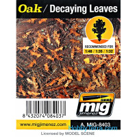 Leaves. Oak - Decayng leaves