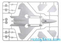 Hobby Boss  80210 F-22 "Raptor"