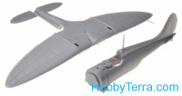 Hobby Boss  80288 A5M2 fighter. Easy kit