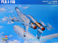 PLA J-11B fighter