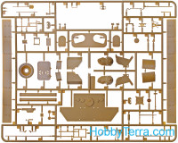 ICM 35342 
