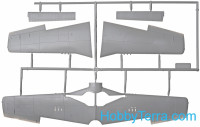 ICM 48155 