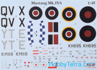 ICM 48155 