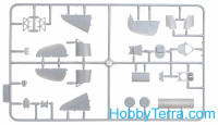 ICM 72163 