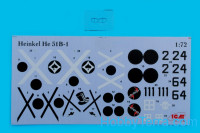 ICM 72191 