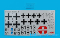 ICM 72193 