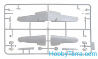 ICM 72202 