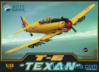 T-6 "Texan" trainer aircraft