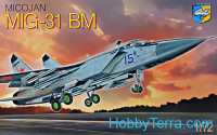 MiG-31 BM 'Foxhound' Soviet interceptor
