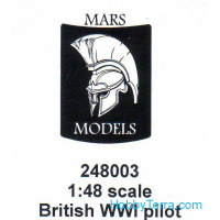 British WWI pilot