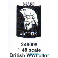 British pilot in daily uniform, metal