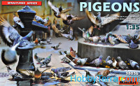 Pigeons