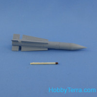 AIM-54 Phoenix missile  (2 pcs. In the set, decal)