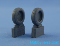 Northstar Models  48082-a Wheels set 1/48 for F-15 E/I/K, no mask series