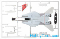Revell  06623 F-14 Tomcat, easy kit
