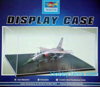 Display case