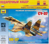 Model Set. Su-37 fighter