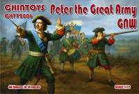 Peter the Great Army, Northern War