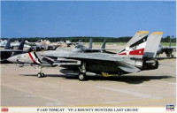 F-14D Tomcat 