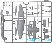 ICM  72233 Heinkel He 70G-1 German passenger aircraft