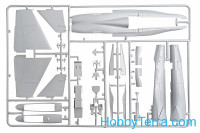 Italeri  0016 F/A18 Wild Weasel C/D