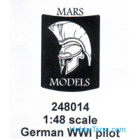 German pilot in a flight helmet, metal