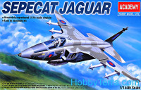 Sepecat Jaguar fighter