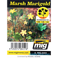 Plants. Marsh marigold