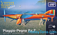 Piaggio-Pegna P.c.7