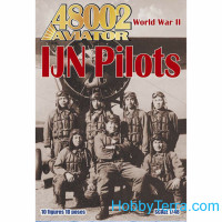 Imperial Japanese Navy Air Service (IJN) and ground crew WW2