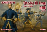 Charles XII Army, Northern War