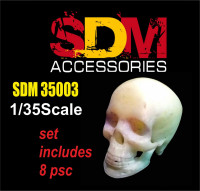 Accessories for diorama. Human skull